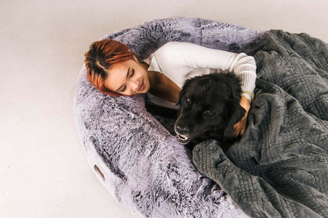 Human-sized dog bed in grey