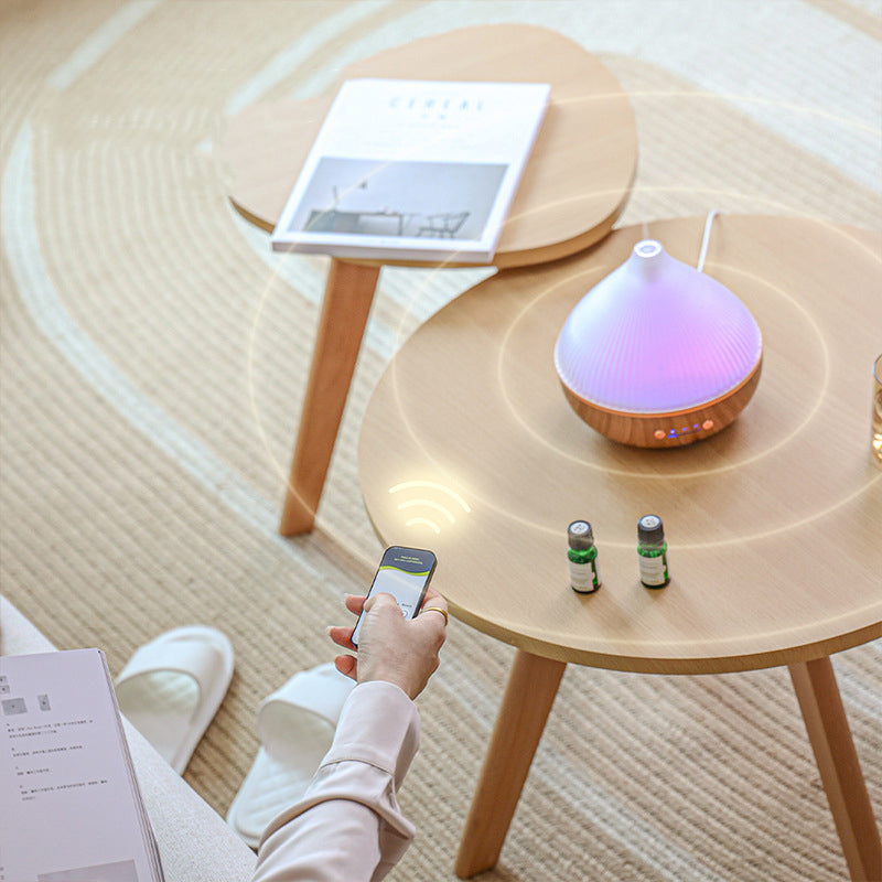 Aroma diffuser releasing cool mist