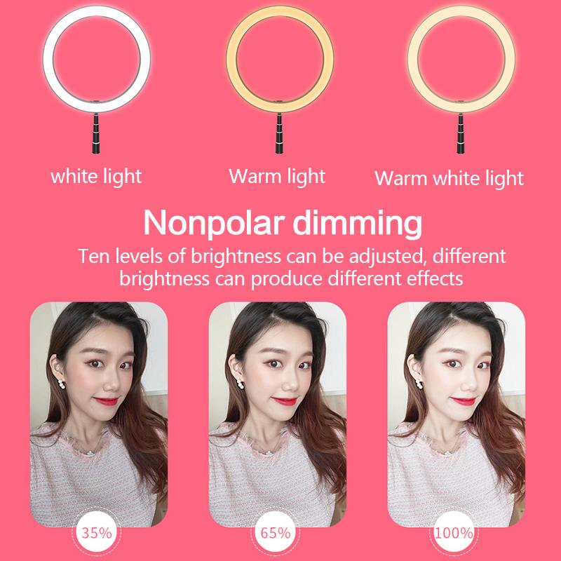 Foldable LED ring light with stand